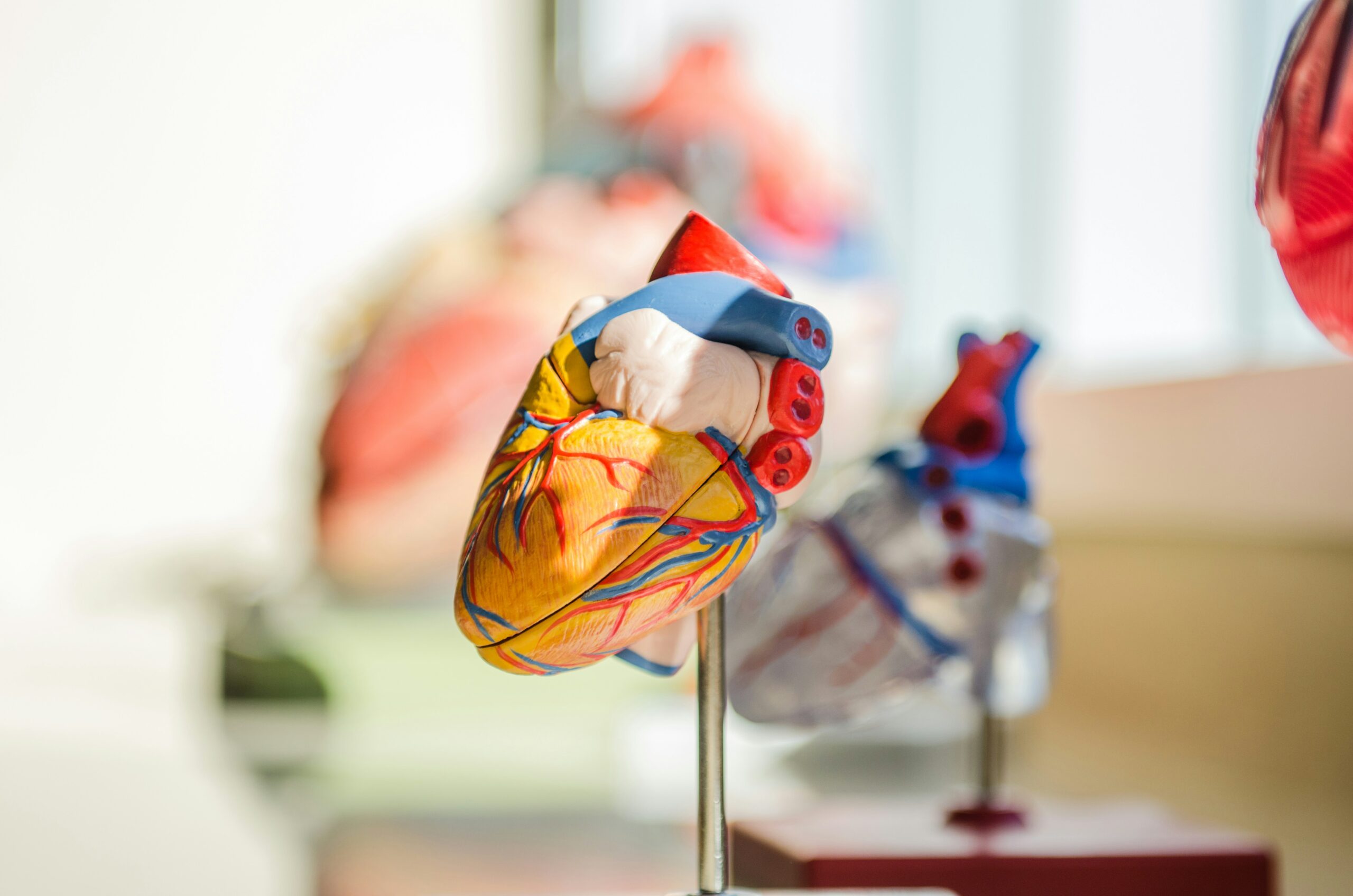Heart Attack Vs Cardiac Arrest